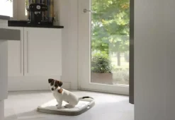 Savic puppy trainer medium, starterkit
