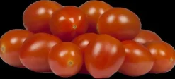 Solanum lycopersicum (Tomaat)