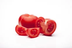 Solanum lycopersicum (Tomaat)