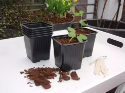 Stekpotjes h9.5b9l9 cm 7st