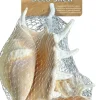 Superfish Aquariumdecoratie schelp spider 150GRM