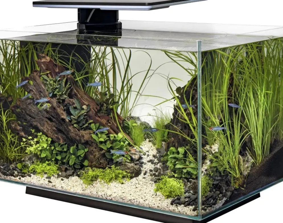 Superfish aquarium Quadro pro zwart 70l
