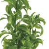 Superfish Artplant 25cm dracaena 1Stuk