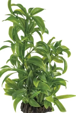 Superfish Artplant 25cm dracaena 1Stuk