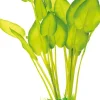SuperFish Art Plant 40 cm Echinodorus