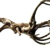 Superfish Black Spiderwood L