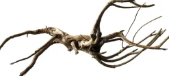 Superfish Black Spiderwood L
