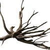 Superfish Black Spiderwood M