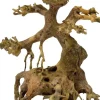 Superfish Bonsai driftwood xs