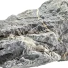 Superfish Decoratiesteen seiryu 3KGM