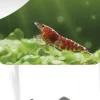 Superfish Houder shrimp sticks keramiek 1Stuk