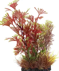 Superfish Plant l nr 1 1Stuk
