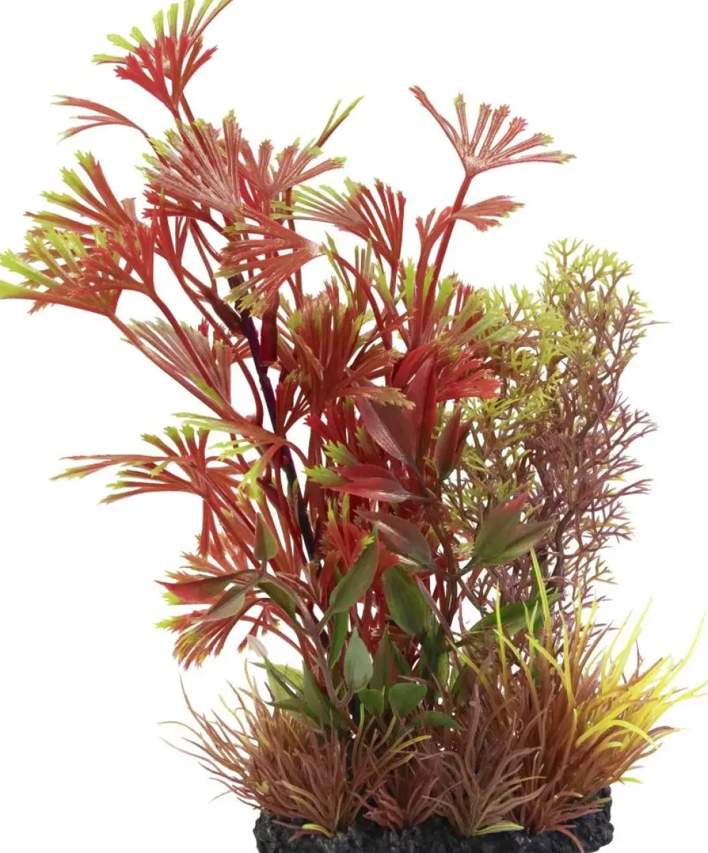 Superfish Plant l nr 1 1Stuk