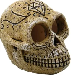 Superfish Skull monkey