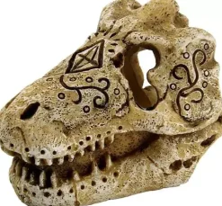 Superfish Skull t rex s