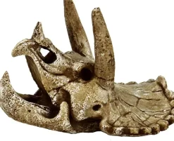 Superfish Skull triceratops m