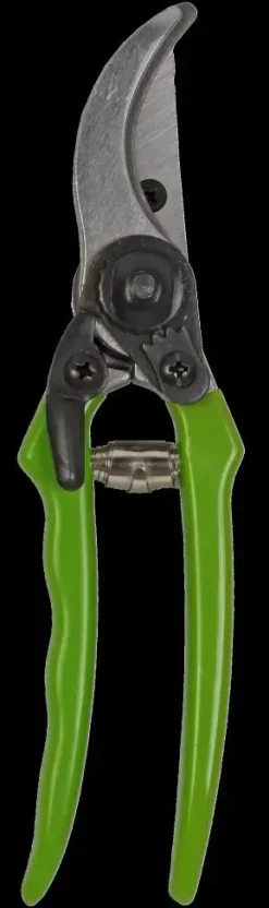 Talen Tools snoeischaar Budget