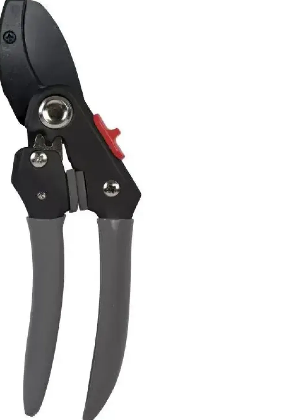 Talen Tools Snoeischaar 20cm