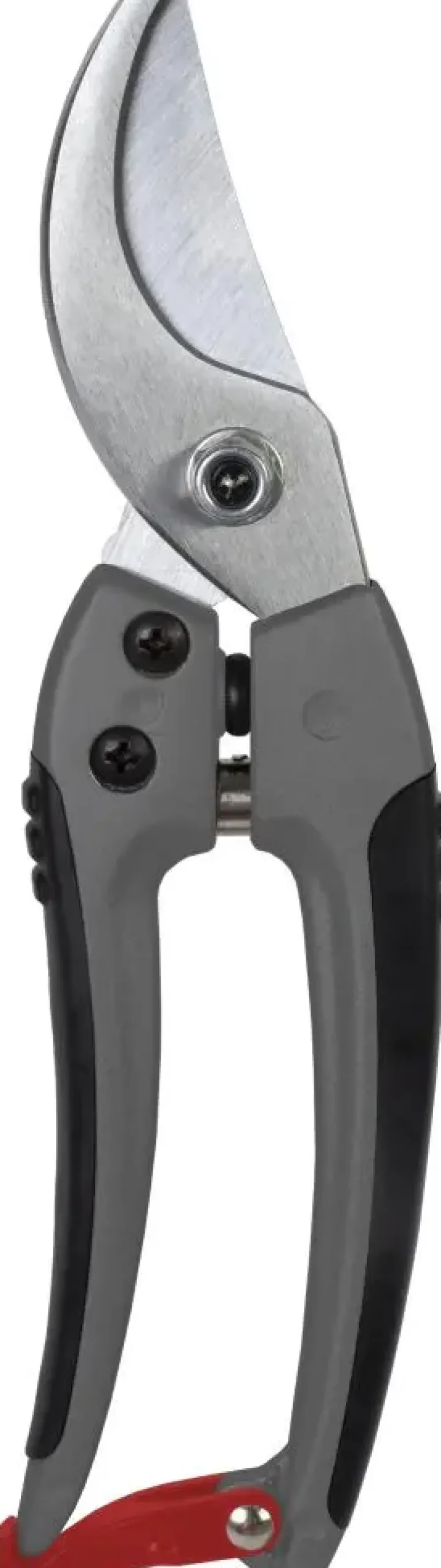 Talen Tools - Snoeischaar - Premium - Voorbijsnijdend - Blank geslepen - 20 cm