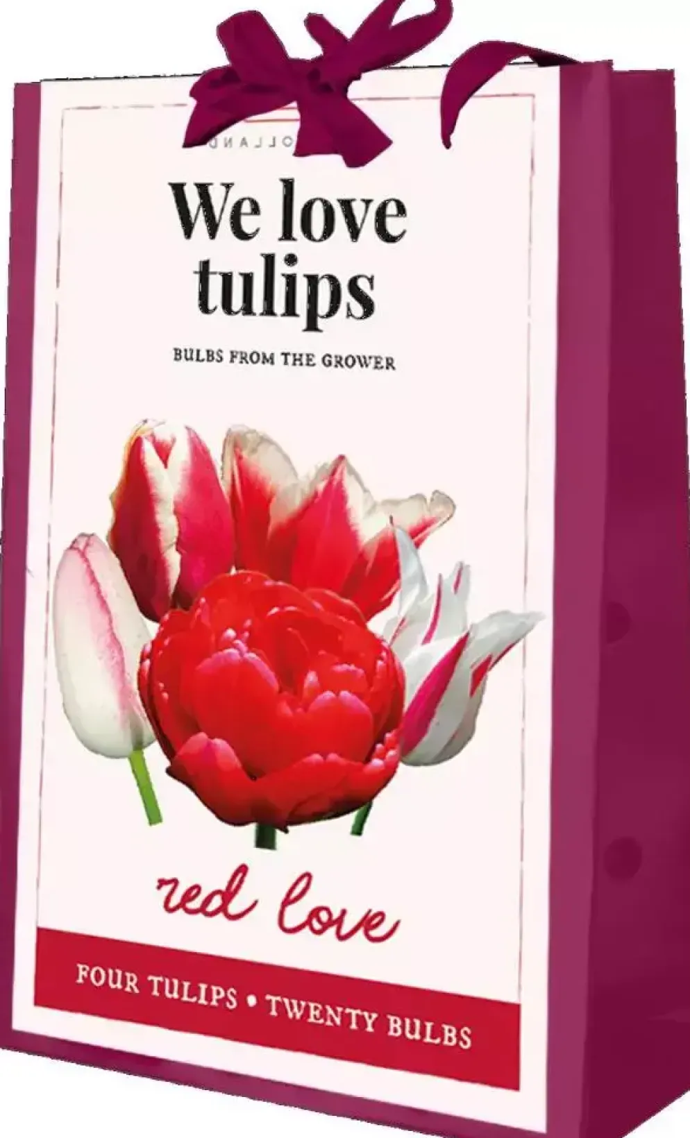 Tas we love tulips red love met 20 bloembollen