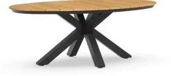 Tierra Outdoor dining tuintafel oblong teak 200x110x75cm charcoal