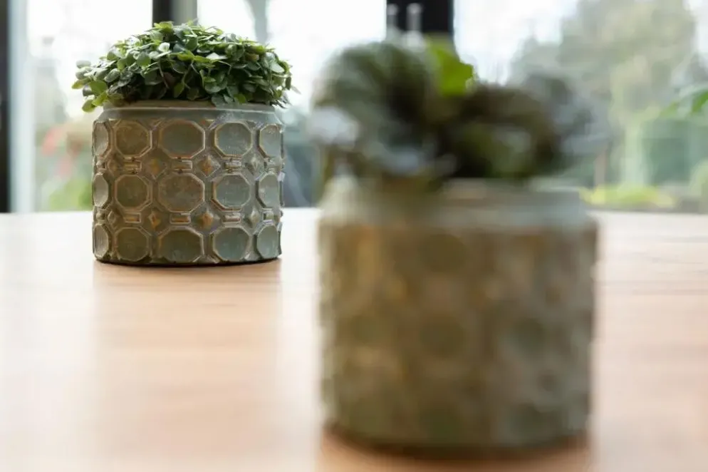TS Collection bloempot jurre steen 16x13cm groen