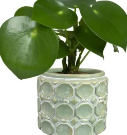 TS Collection bloempot jurre steen 16x13cm groen
