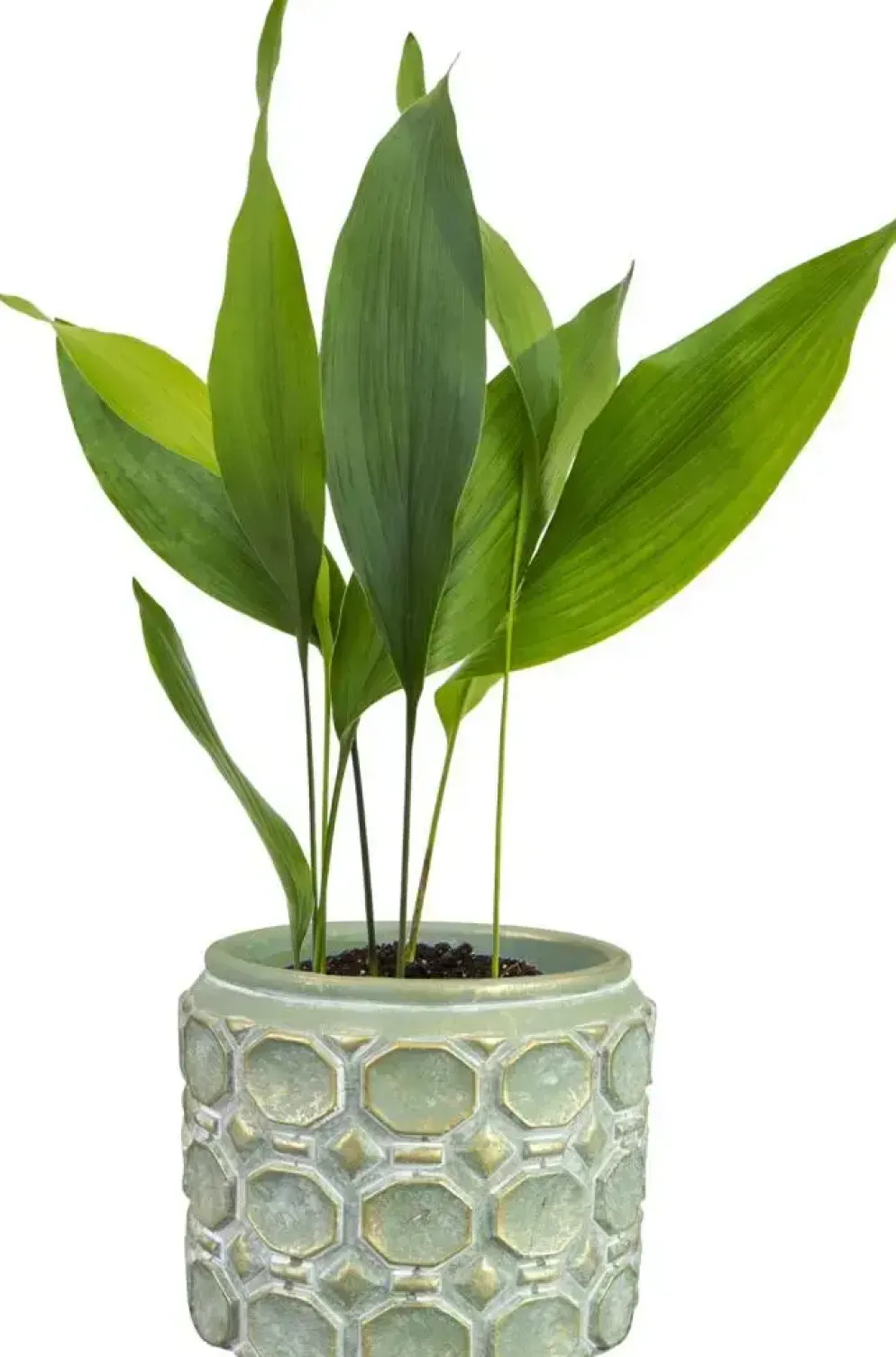 TS Collection bloempot jurre steen 14x11cm groen