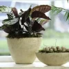 TS Collection bloempot keramiek 15x13cm shiny sand