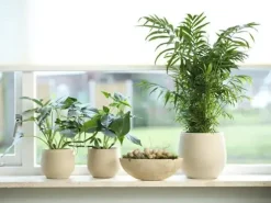 TS Collection bloempot keramiek 15x13cm shiny sand