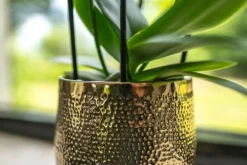TS Collection bloempot kristy metaal 20x18cm goud