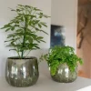 TS Collection bloempot odile keramiek 10x8cm groen