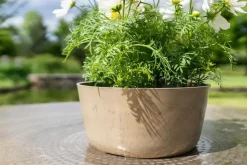 TS Collection bloempot palermo kunststof, steen 27x12cm clay