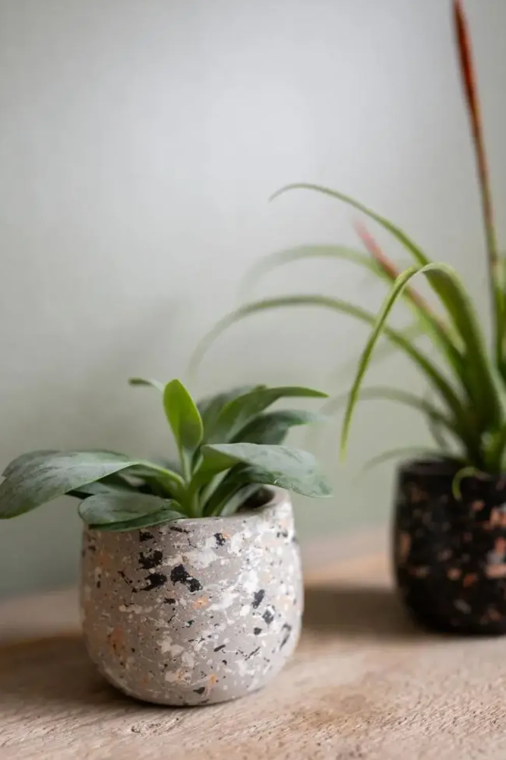 TS Collection bloempot tina steen 8x7cm terrazo grey