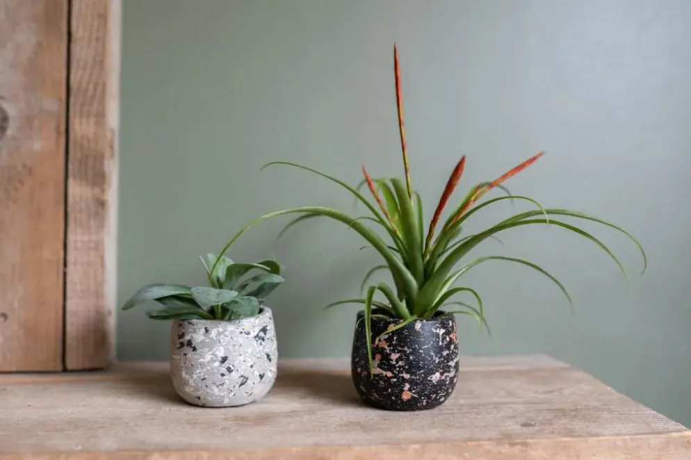 TS Collection bloempot tina steen 8x7cm terrazo grey