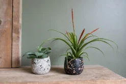 TS Collection bloempot tina steen 8x7cm terrazo black