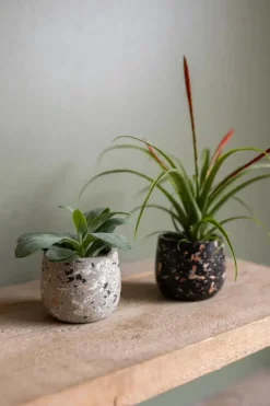 TS Collection bloempot tina steen 8x7cm terrazo black