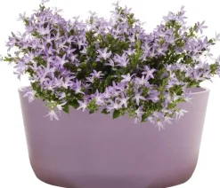 TS Collection Bowl Palermo 27x12 cm Lavendel