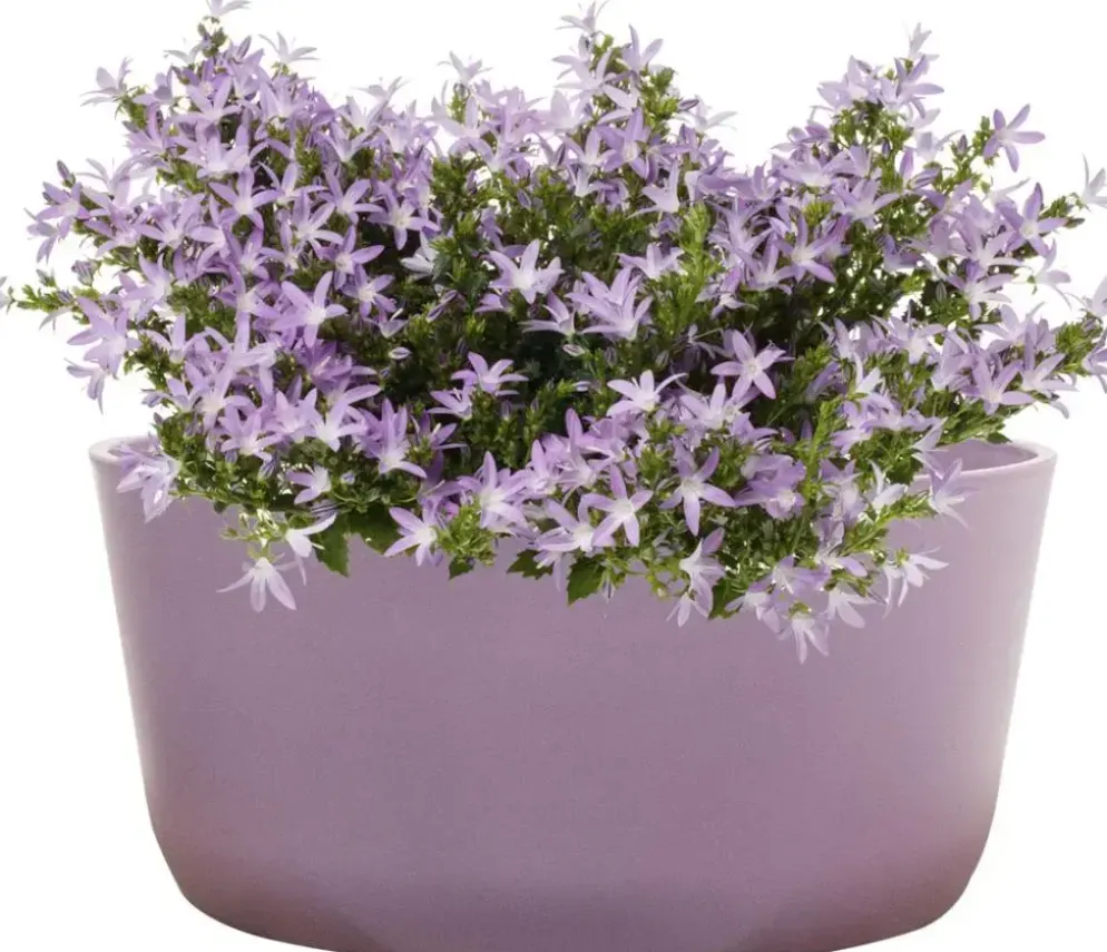 TS Collection Bowl Palermo 27x12 cm Lavendel
