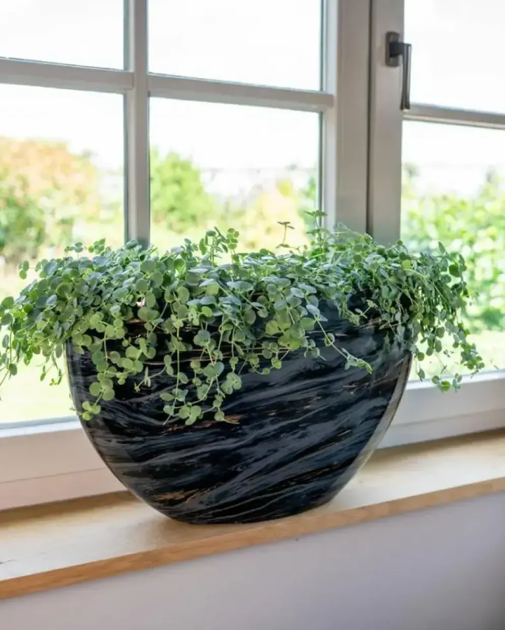 TS Collection Planter Niene 55c25