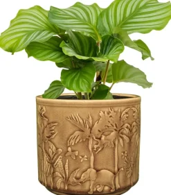 TS Collection Pot Safari Sunset Ø14x13 cm