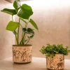 TS Collection Pot Safari Wildlife Ø7x6 cm