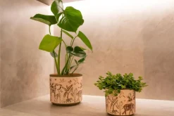 TS Collection Pot Safari Wildlife Ø7x6 cm
