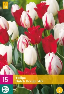 Tulipa Dutch Design Mix 15 tulpenbollen