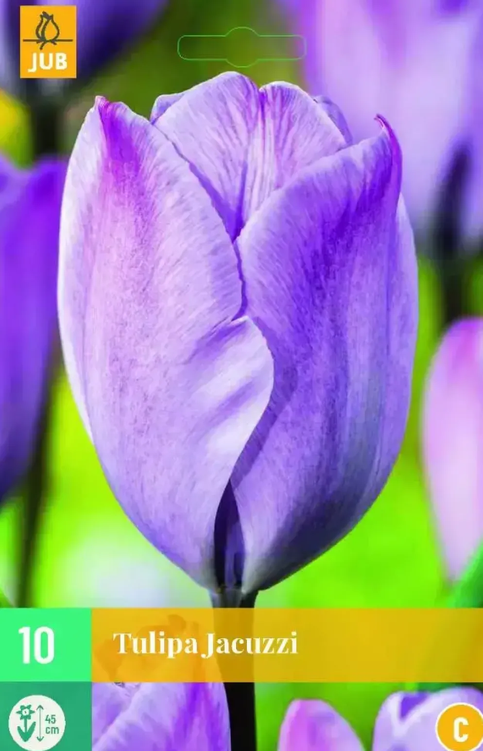 Tulipa jacuzzi 10 bloembollen