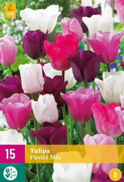 Tulipa Pastel mix 15 tulpenbollen