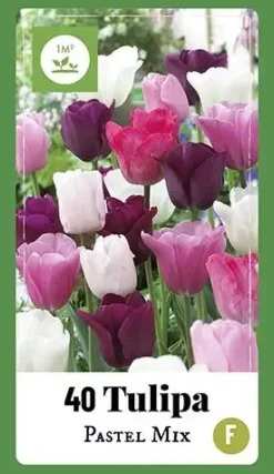 Tulipa Pastel Mix 40 tulpenbollen