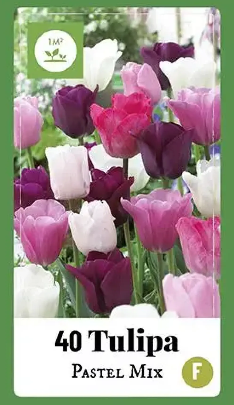 Tulipa Pastel Mix 40 tulpenbollen