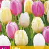 Tulipa Sorbet Mix 15 tulpenbollen