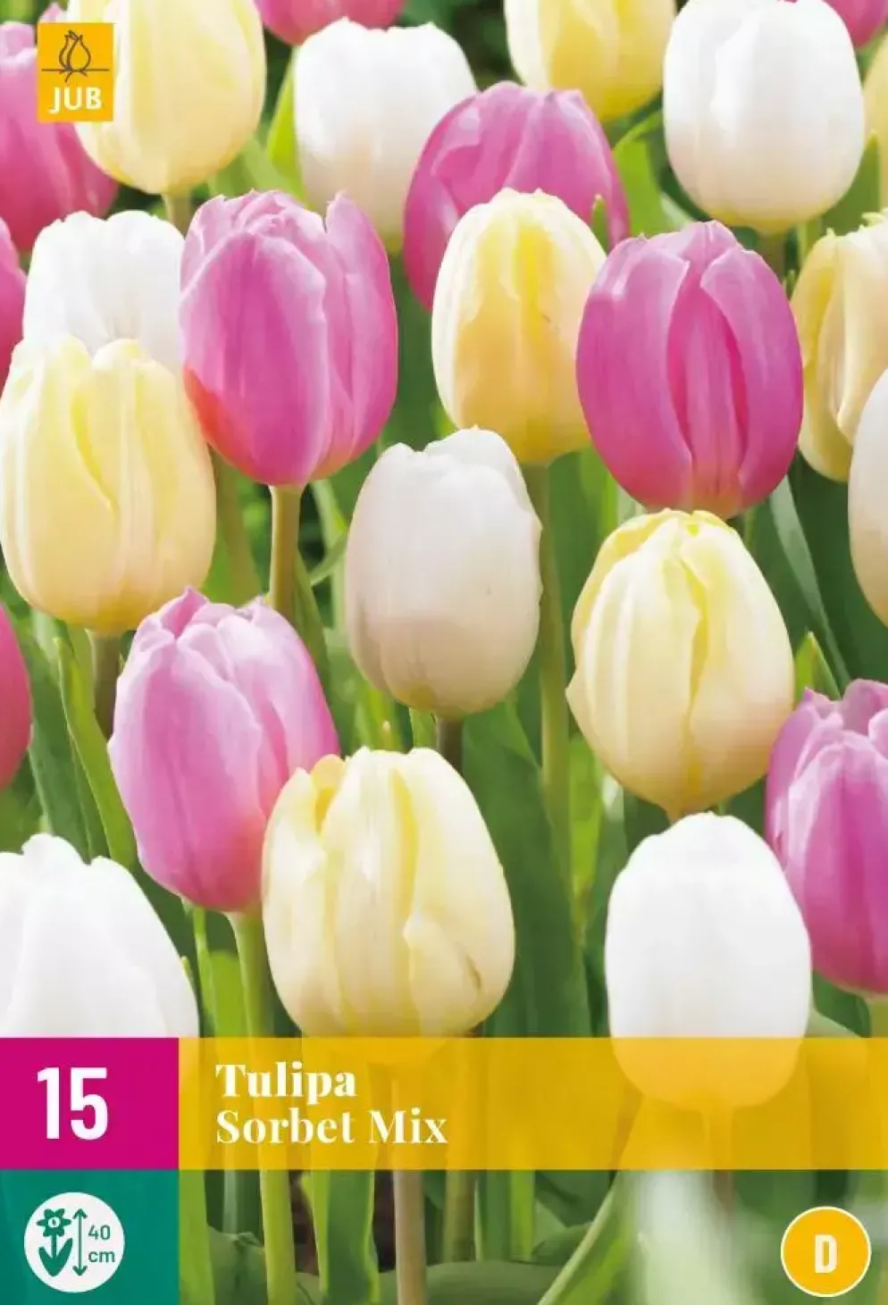 Tulipa Sorbet Mix 15 tulpenbollen